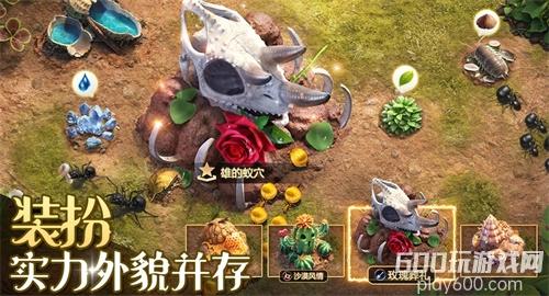 小小蚁国蚂蚁升星材料表-升星材料一览最新